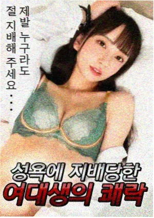 灯火可亲 电视剧资源在线观看